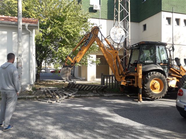 Sadnja maslina između zgrade Opštine Golubovci i Doma zdravlja