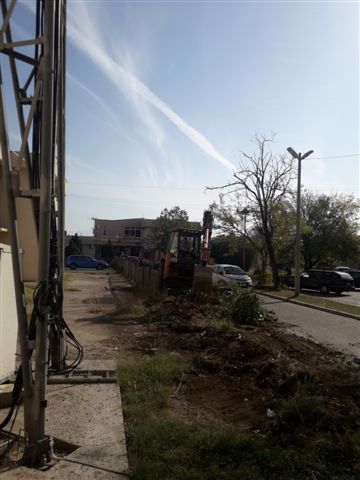 Sadnja maslina između zgrade Opštine Golubovci i Doma zdravlja