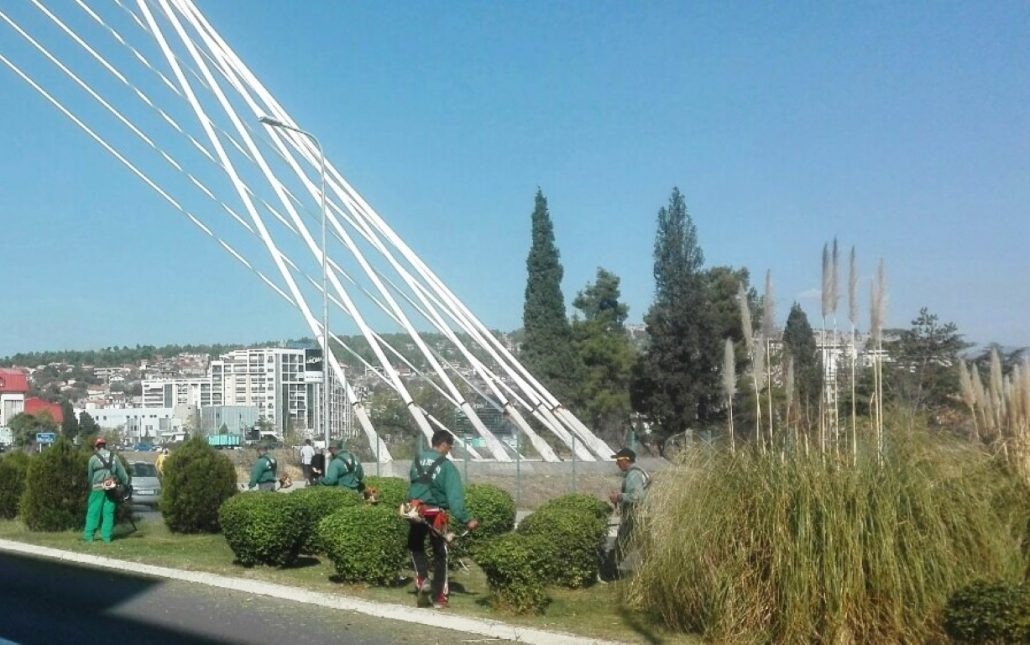 Aktivnosti Zelenila Podgorica za period od 16. oktobra do 18. oktobra 2018. godine