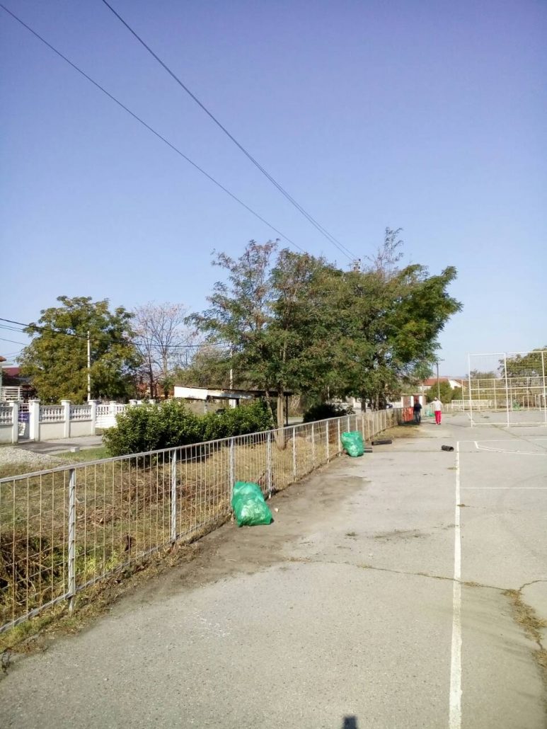 Akcija čišćenja i uređenja javnih površina u Mojanovićima