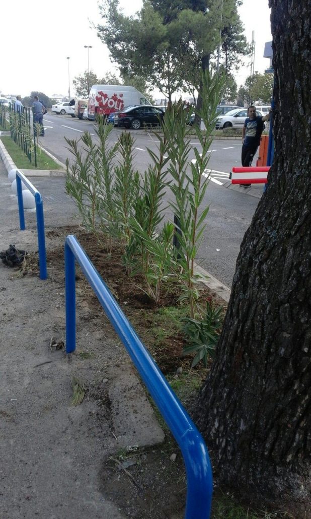 Zelenilo angažovano na nekoliko lokacija u gradu