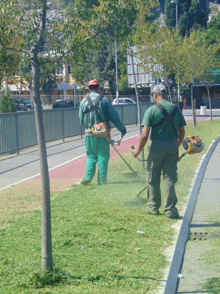 Zelenilo uredno održava javne zelene površine