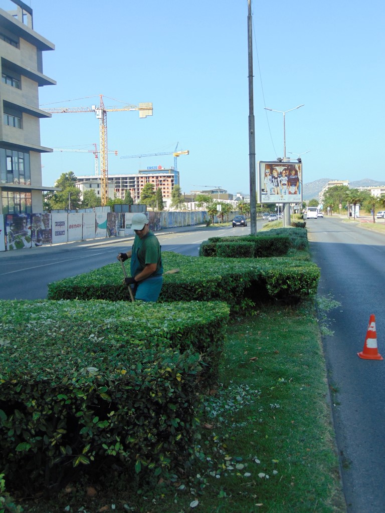 Svakodnevno uređenje zelenih površina u Gradu