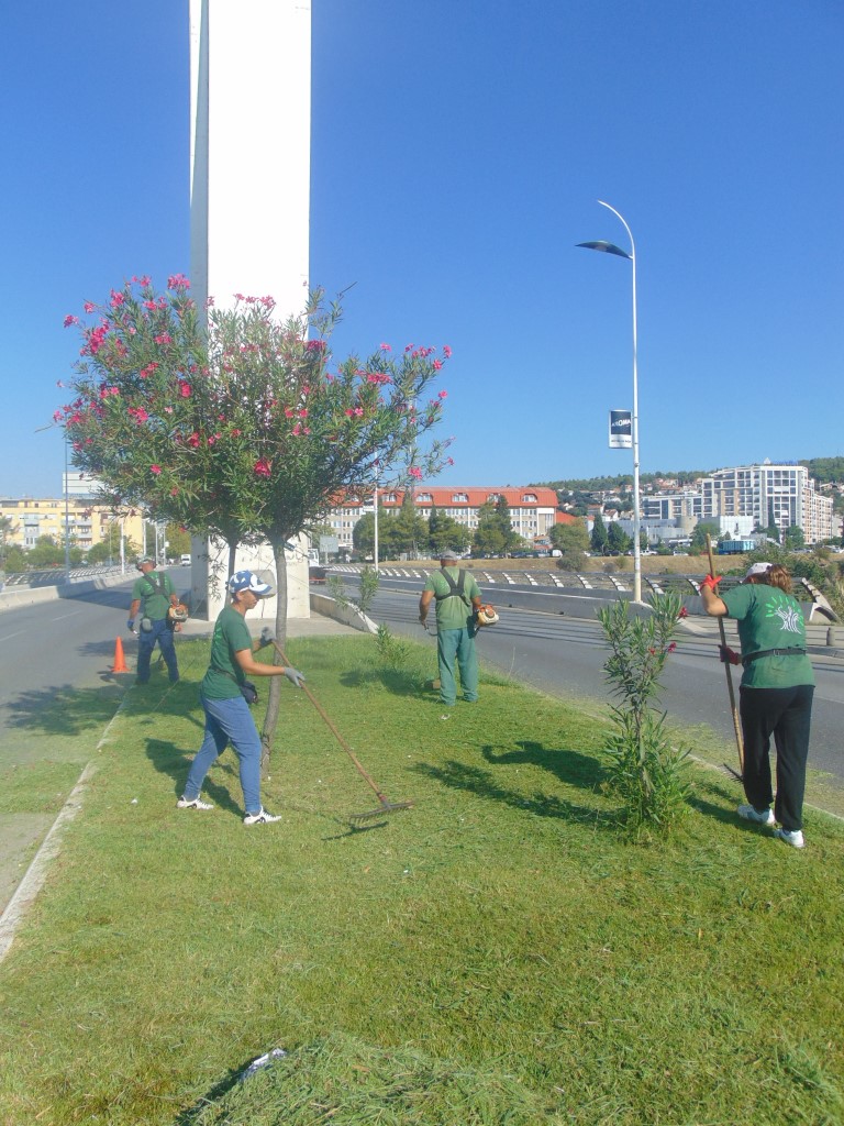 Ekipe gradskog Zelenila redovno izvode radove na održavanju i uređenju javnih zelenih površina