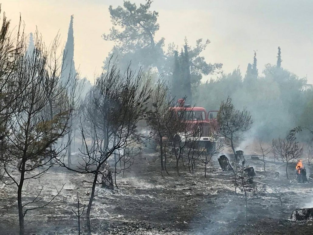 Preventivne mjere dale rezultate, značajno smanjen broj požara u Podgorici
