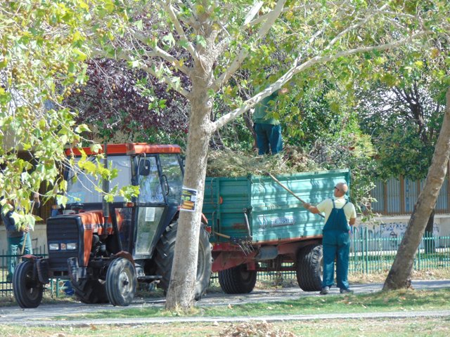 Zelenilo angažovano na poslovima pejzažnog uređenja zelenih površina na Trgu Bećir bega Osmanagića