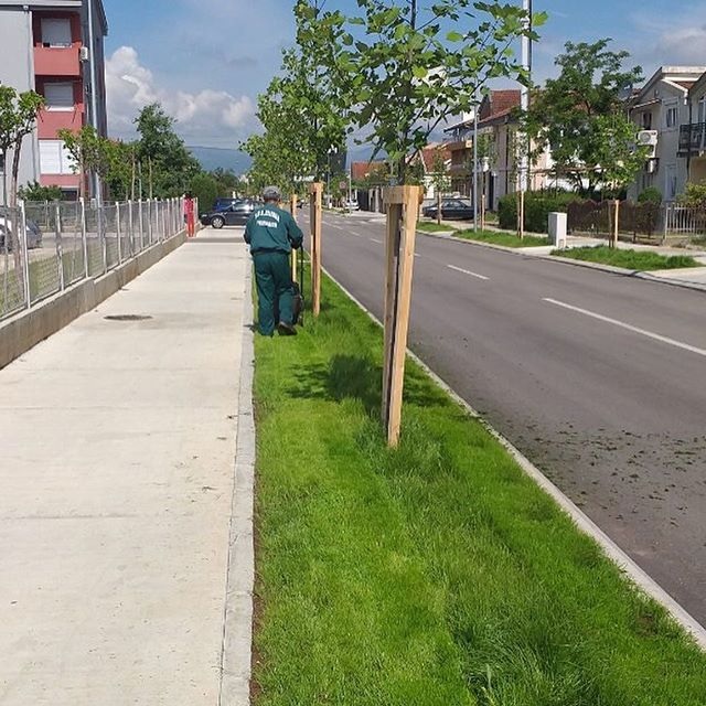 Pejzažno uređenje Cvijetna Ulica