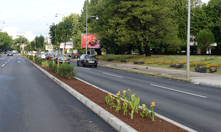 New greenery on Svetog Petra Cetinjskog Boulevard