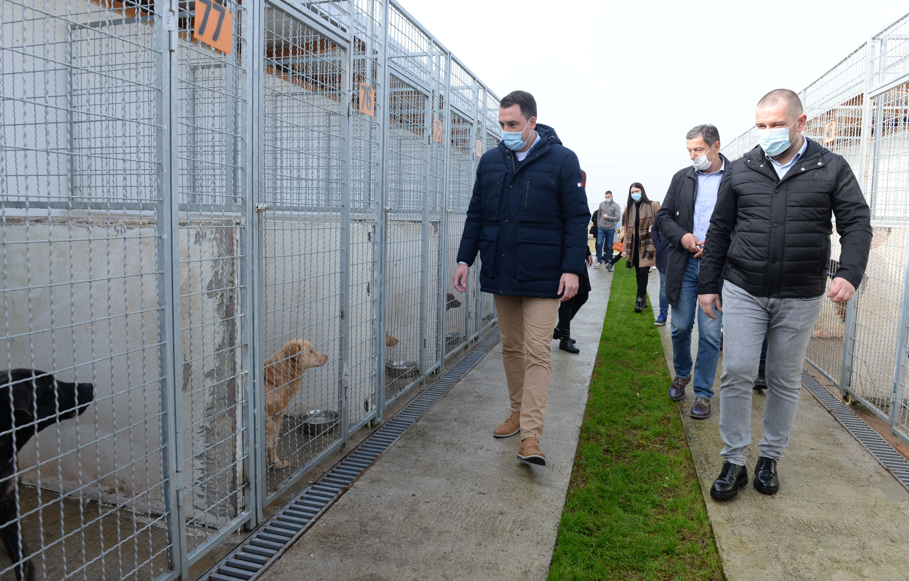 Vuković visits Podgorica's asylum for abandoned dogs: Attitude towards pets is a very important issue that very much reflects the state of the social community