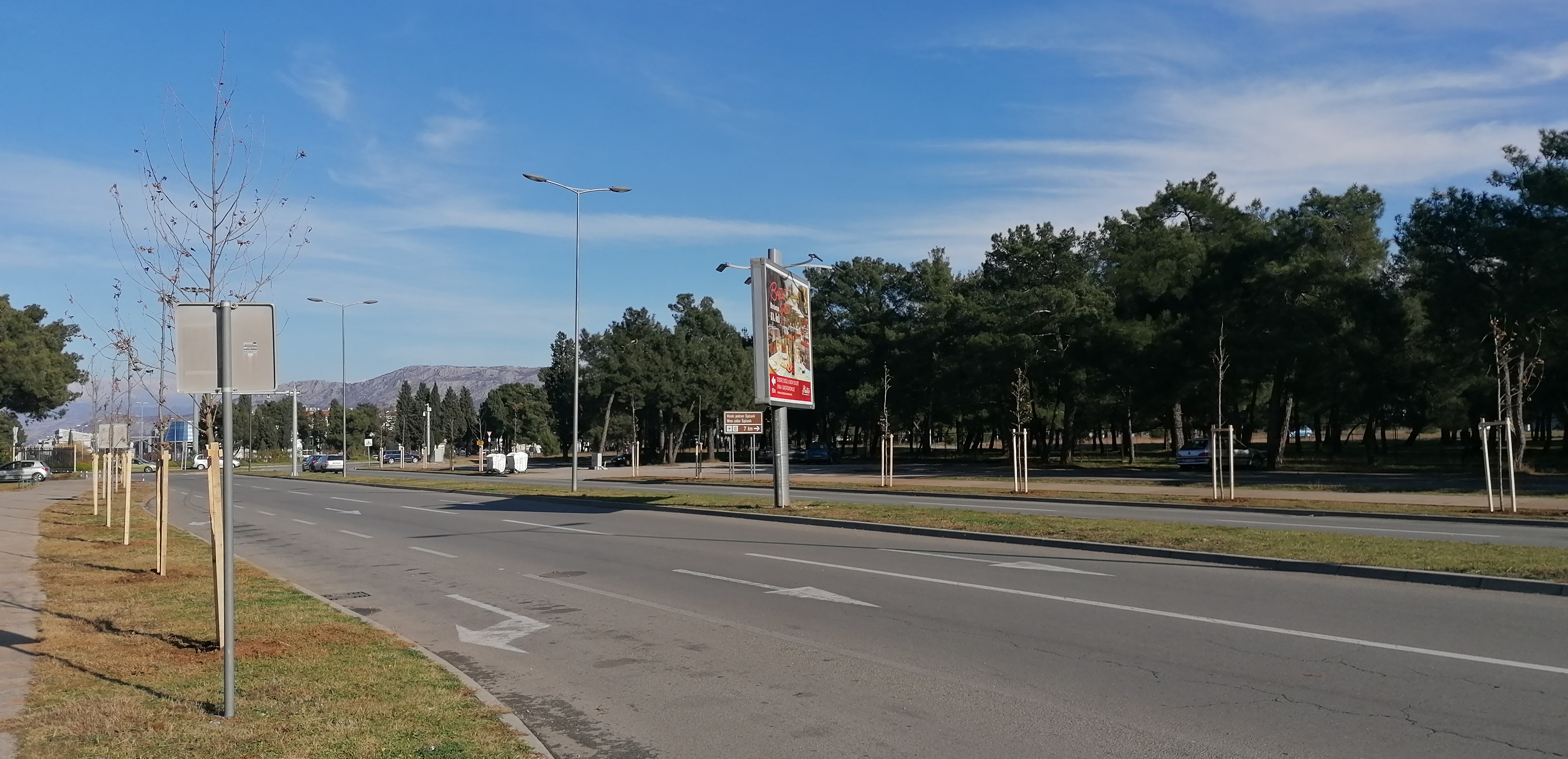 NOVI DRVORED NA BULEVARU ŠARLA DE GOLA