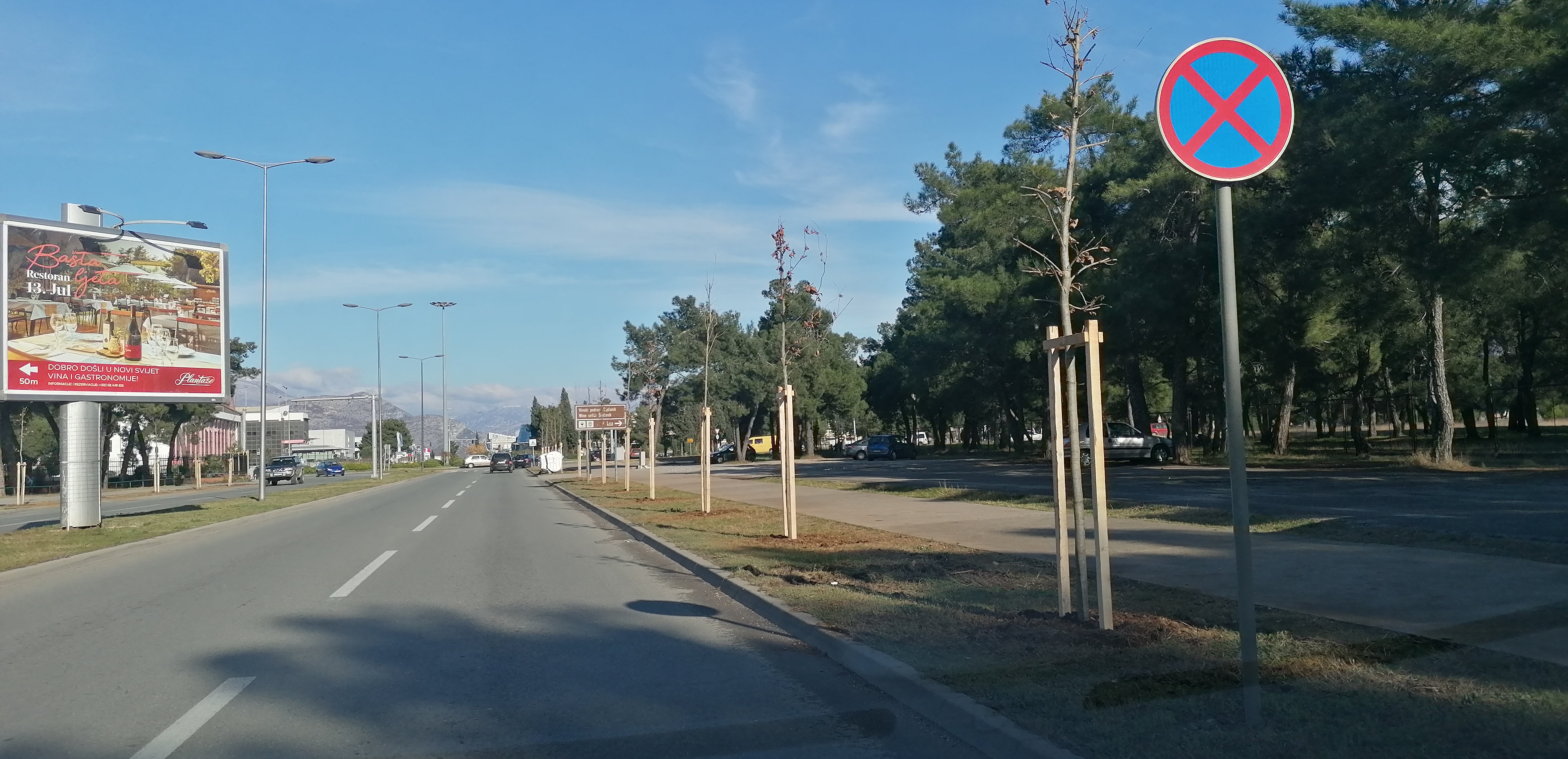 NOVI DRVORED NA BULEVARU ŠARLA DE GOLA