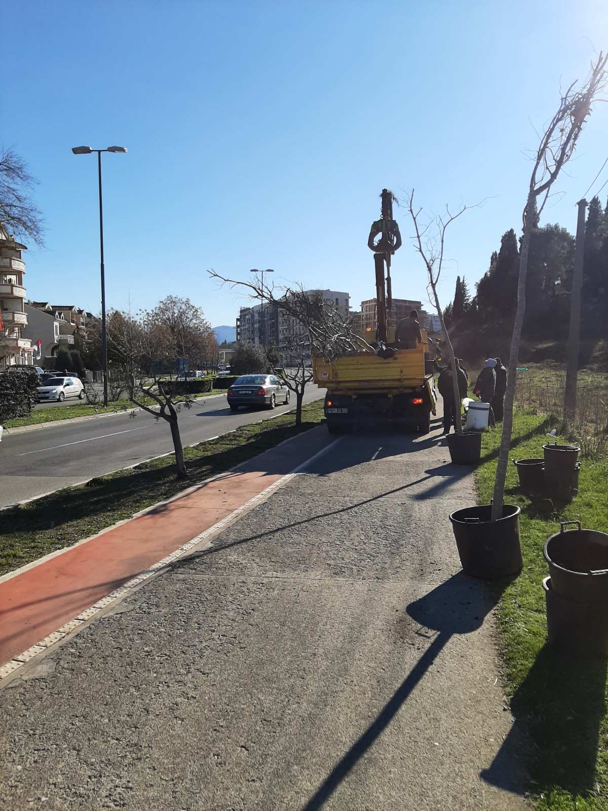 Crnogorskih Serdara Boulevard gets a new tree line of hackberries