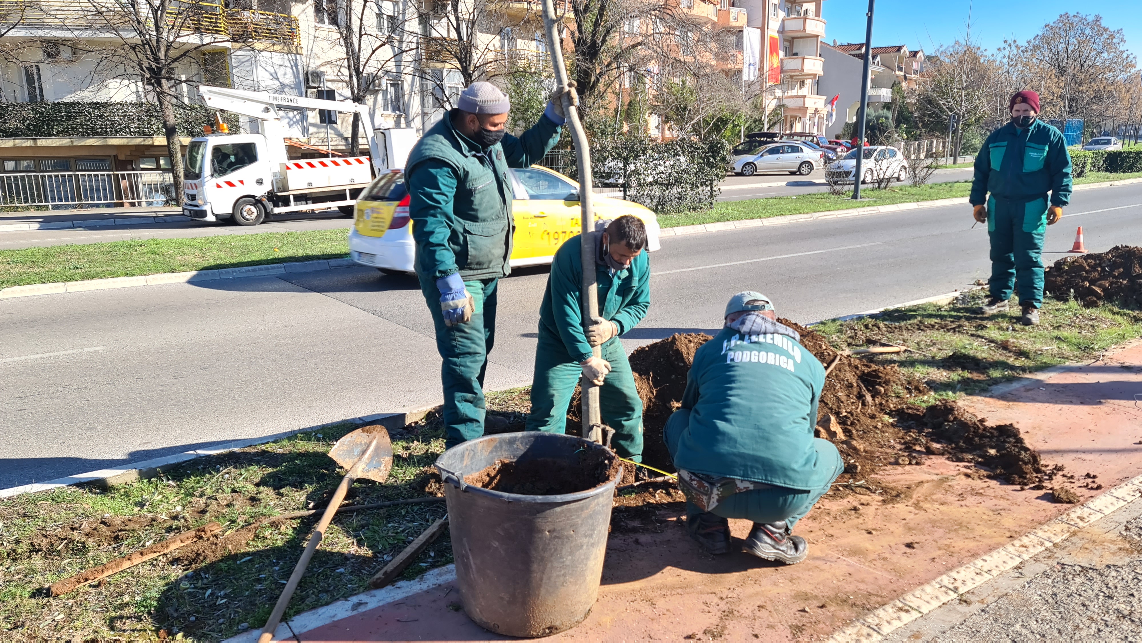 Crnogorskih Serdara Boulevard gets a new tree line of hackberries