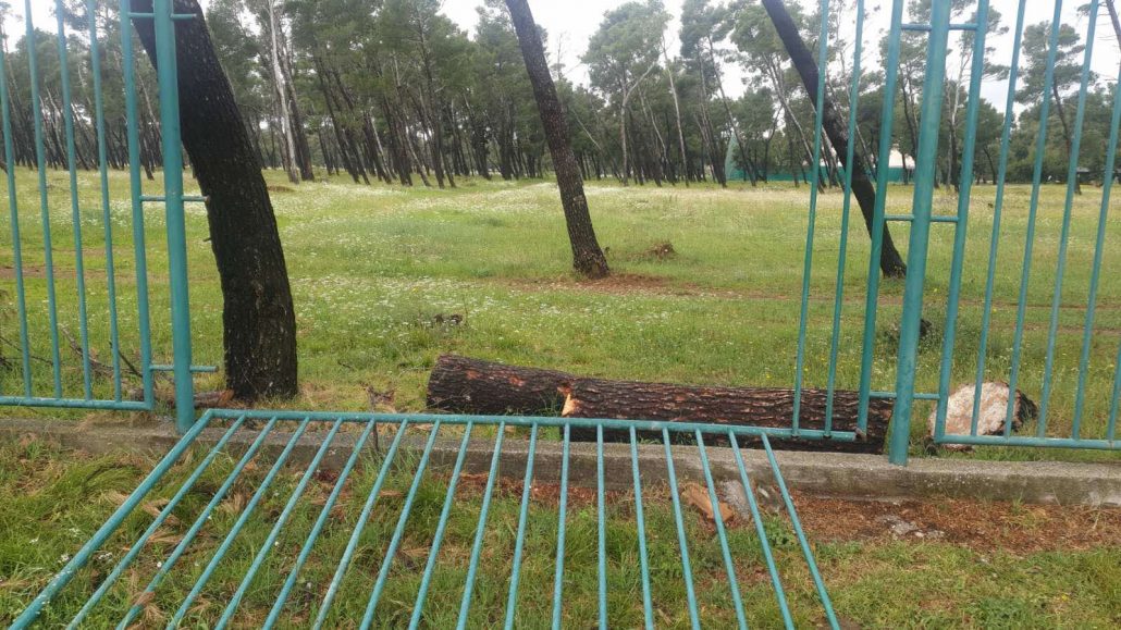 Uništen dio ograde oko Park šume Zlatica