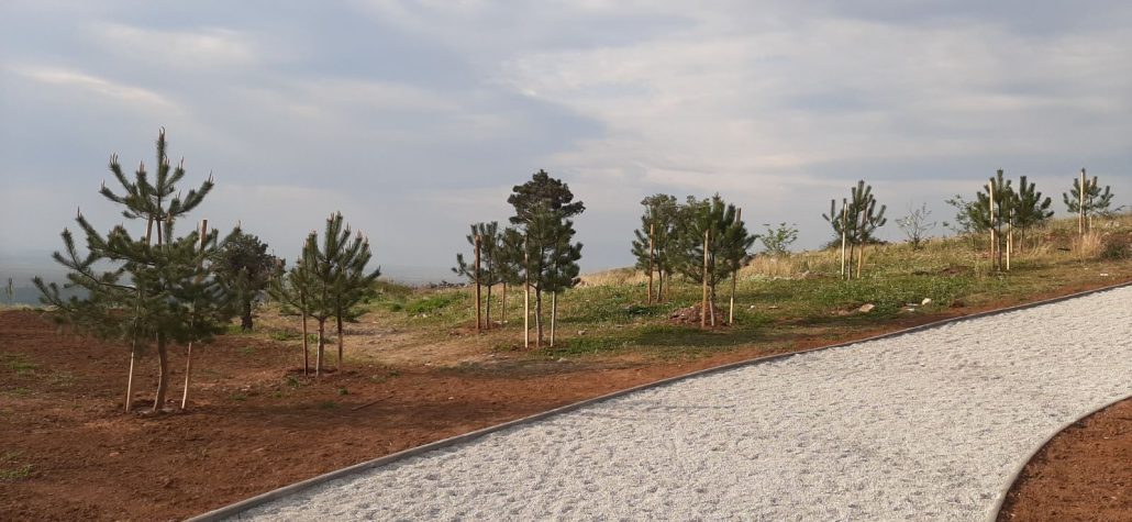 Uređena zelena površina oko Tornja na Dajbabskoj gori